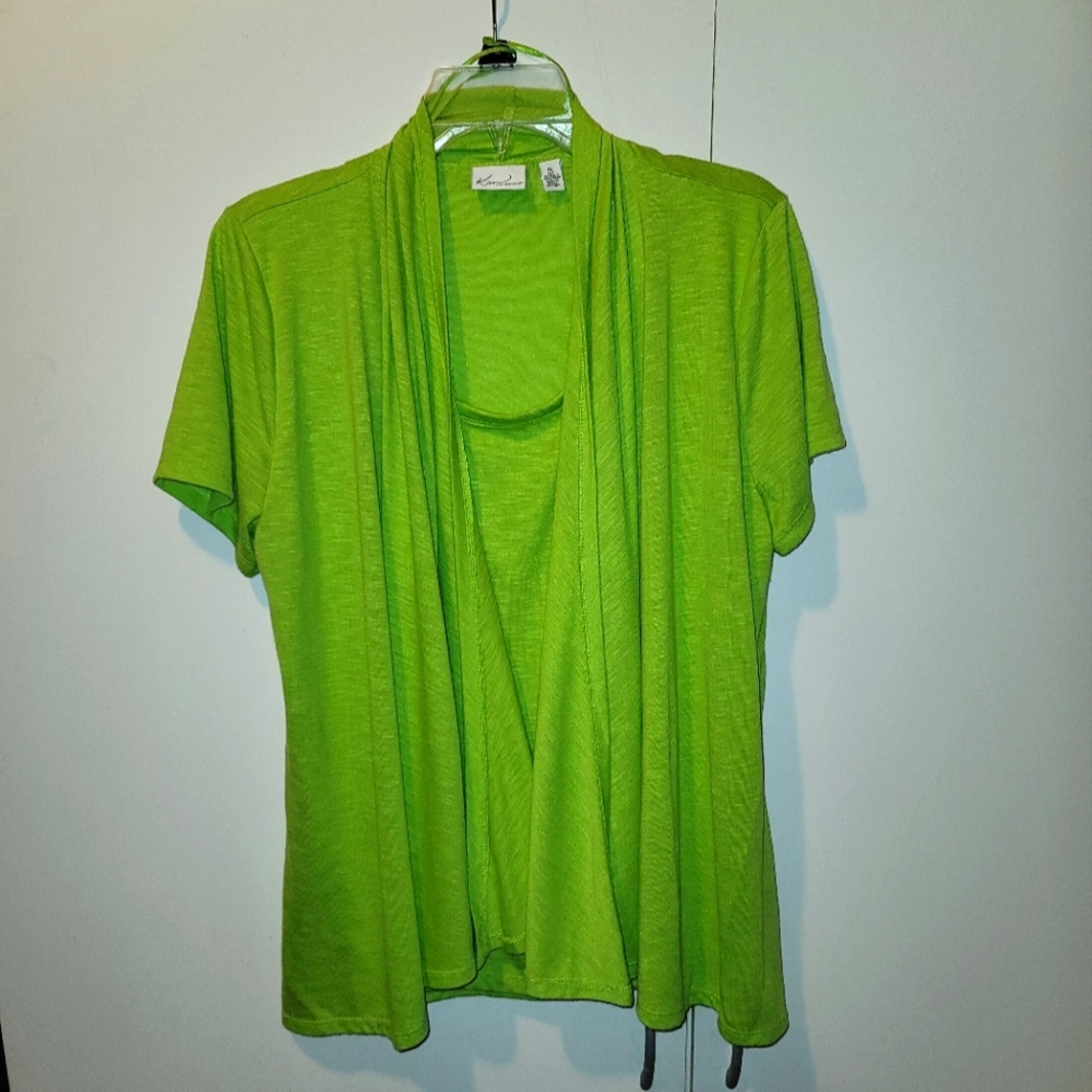 Kim Roger's Layered Blouse. Size XL